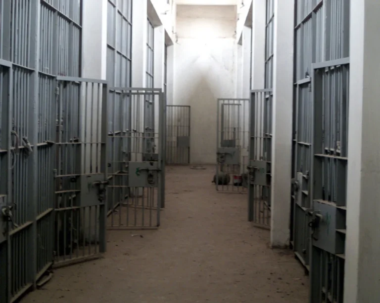 Amnesty International condemns the executions of 13 men in Iraq