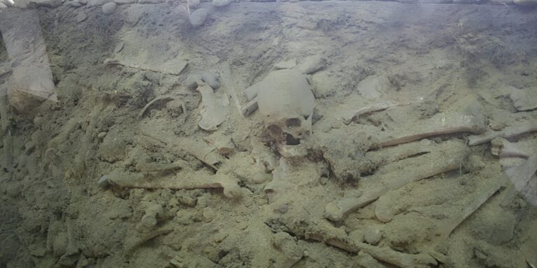 Mass Graves: “Silent” Violations Committed Against Syrians for Years